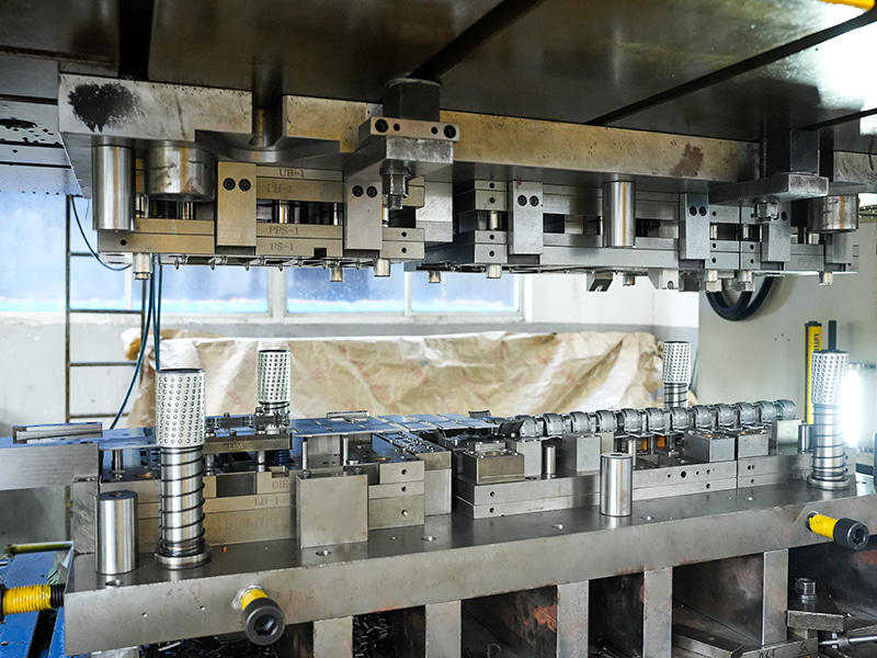 Benzi materiale și mucegai